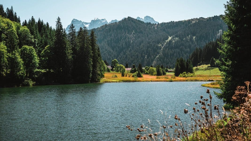 Acheter un étang : quelle est la réglementation ?